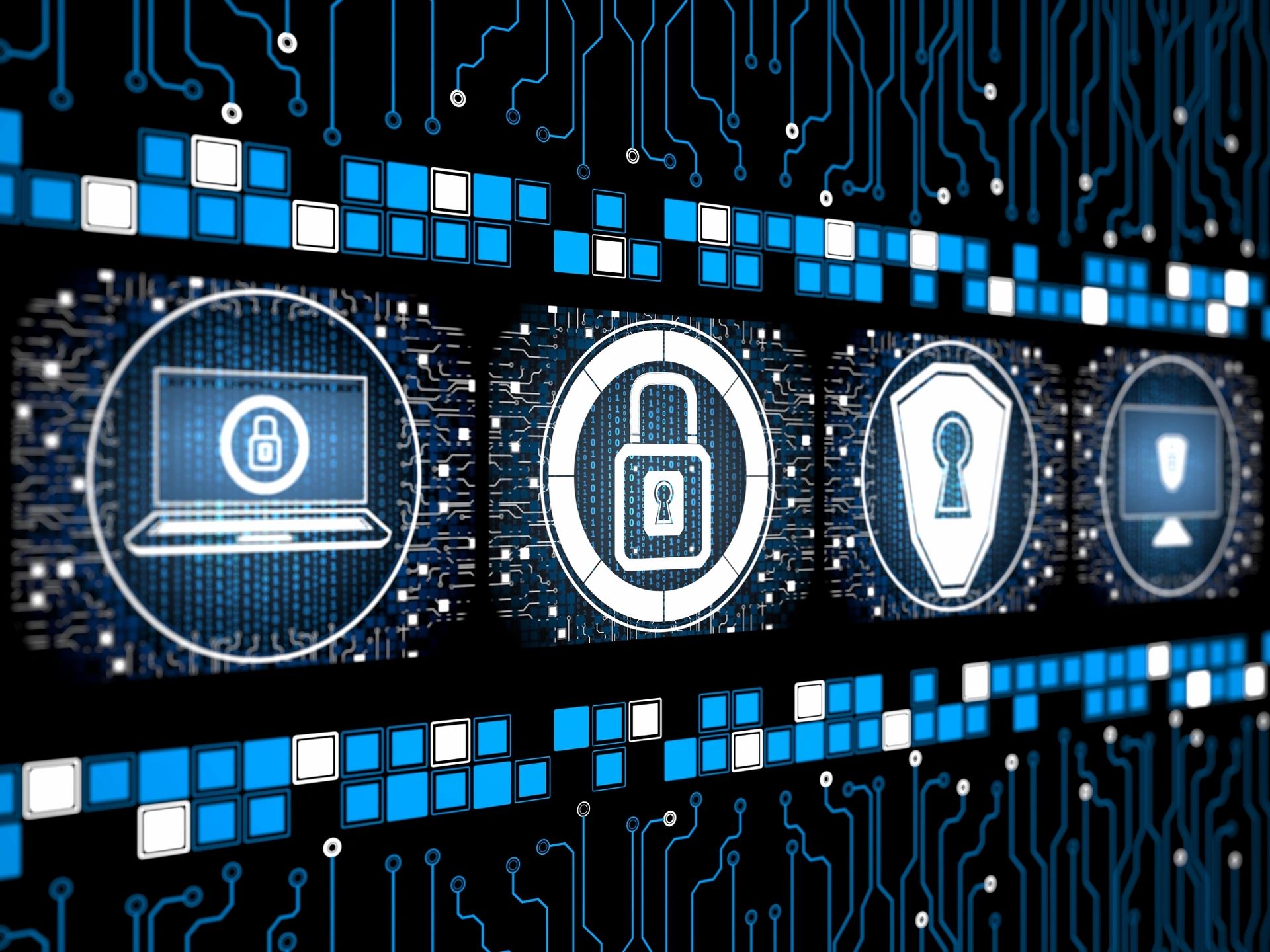 Technology & Software