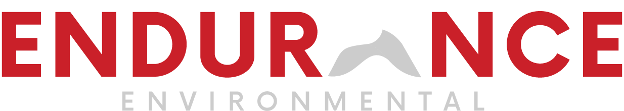Endurance Environmental logo